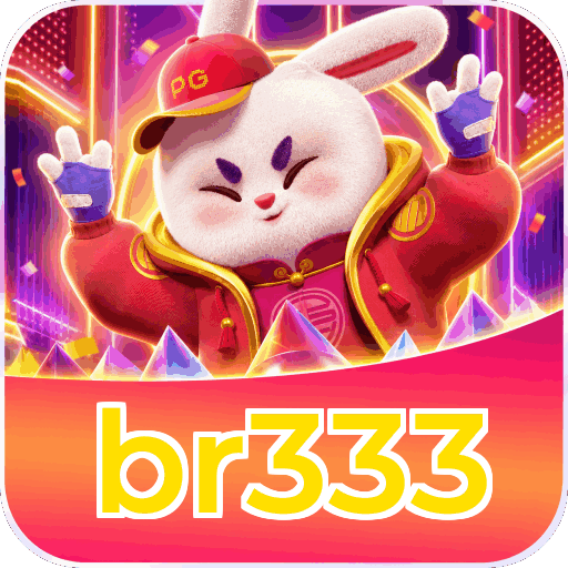 br333